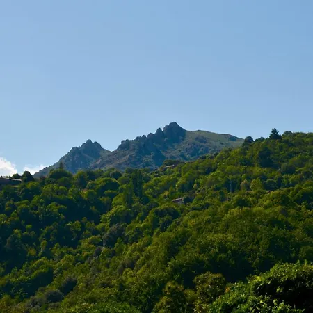 Hébergement de vacances La Maison De Laligier *